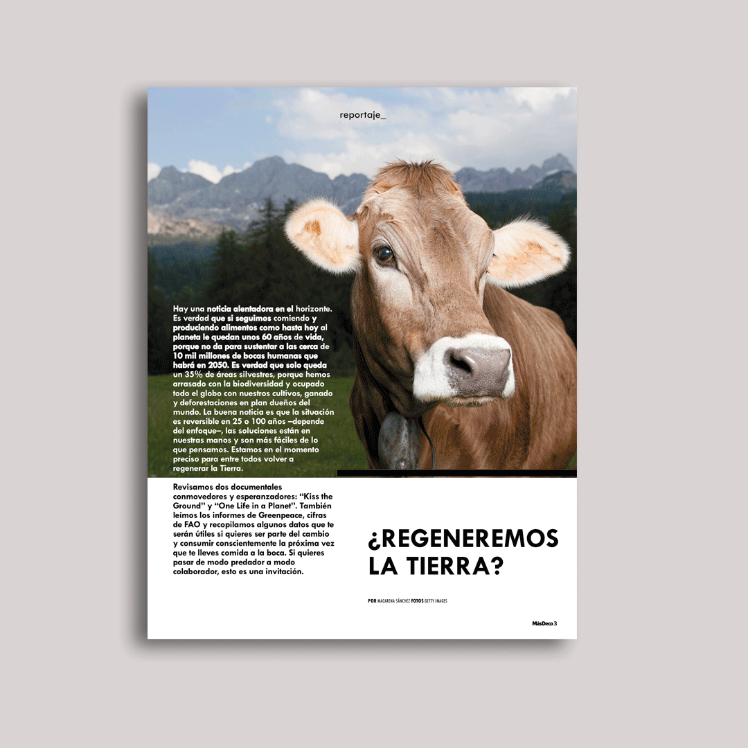 ¿Regeneremos la tierra?